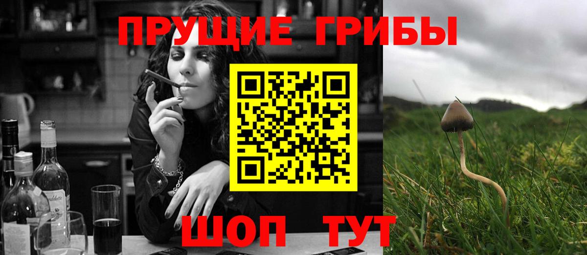 Галлюциногенные грибы Magic Shrooms  Вход с VPN  Вичуга 